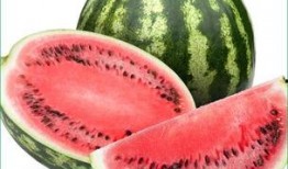 胃炎可以吃酉瓜吗,营养与健康的双重选择