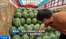 湖师吃瓜墙,揭秘校园热点事件背后的真相