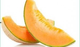 幼犬吃哈密瓜好吗,幼犬食用哈密瓜的安全性探讨