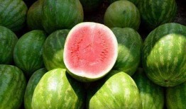 吃瓜放什么音乐,这些音乐让你清凉一夏