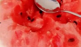 中午吃瓜了吗,你吃瓜了吗？