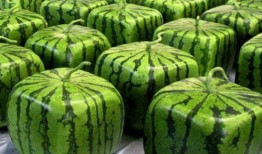 医院吃瓜网,揭秘医疗行业那些鲜为人知的幕后故事