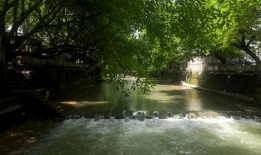 消夏吃瓜好去处,探寻最佳吃瓜胜地