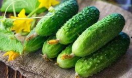 别吃假瓜,食品安全警示录