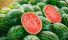 辽中吃瓜,揭秘当地特色美食背后的故事