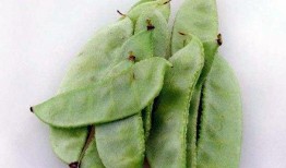 吃瓜种补钙吗,吃瓜也能补钙？揭秘日常饮食中的钙质来源