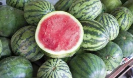 吃瓜放什么音乐,这些音乐让你清凉一夏