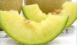 幼犬吃哈密瓜好吗,幼犬食用哈密瓜的安全性探讨