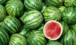 足迹吃瓜,揭秘吃瓜背后的故事