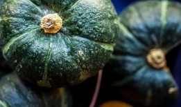 胖森吃瓜,揭秘娱乐圈那些不为人知的幕后故事