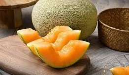 吃哈密瓜和青瓜舌头烂了,哈密瓜与青瓜引发舌头烂痛之谜