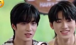 吃瓜群众刘耀文视频,揭秘娱乐圈幕后故事