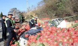 吃瓜引发的事故,一场意外引发的深思