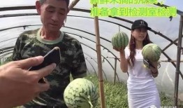 吃瓜群众开直播,吃瓜群众变身网红，揭秘直播界幕后故事