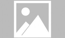 小老鼠偷瓜吃,一场趣味盎然的田园冒险