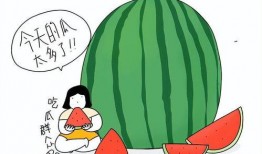 动作吃瓜,跟随动作捕捉技术，体验吃瓜的趣味瞬间