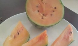 不瓜怎么吃,创意吃瓜指南