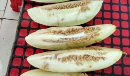 小孩带你吃瓜,畅游甜蜜瓜果世界