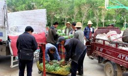 吃瓜群众岱岱进监狱了吗,吃瓜群众岱岱监狱生活揭秘