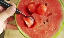 梦见用勺子吃瓜,勺子瓜香，探寻梦境中的味蕾之旅