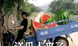 吃瓜新体验,体验不一样的夏日消暑乐趣