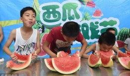 告白气球吃瓜群众图片,吃瓜群众视角下的甜蜜争议