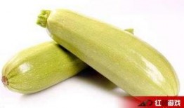 怀孕了可以吃白瓜吗,白瓜，孕妇的安心之选