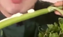 杉菜弟弟吃瓜,揭秘娱乐圈幕后真相