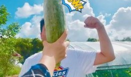 网红瓜瓜吃瓜,揭秘网红圈的那些事儿