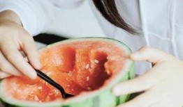 拍照吃瓜,揭秘拍照吃瓜背后的故事