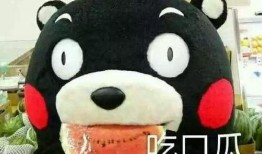 细致吃瓜群众怎么形容的,揭秘网络舆论场中的观察者与参与者