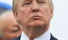 吃瓜群众吴导照片大全,吃瓜群众视角下的娱乐圈风云