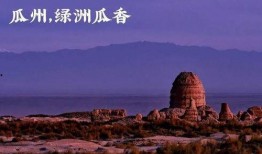 吃瓜群众岱岱专栏,揭秘娱乐圈那些吃瓜群众的酸甜苦辣