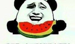 怎样看待吃瓜群,社交时代的娱乐与反思