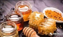 瓜儿沉浸式吃蜂蜜,一场与瓜儿的甜蜜邂逅