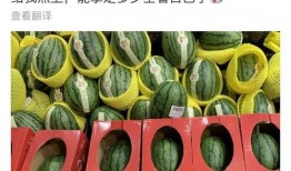 瓜哥吃瓜获奖,大奖连连，揭秘瓜界传奇获奖瞬间