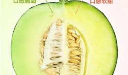 糖人吃网纹蜜瓜,网纹蜜瓜的甜蜜诱惑
