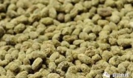 新乡延津吃瓜,探寻新乡特色美食之旅