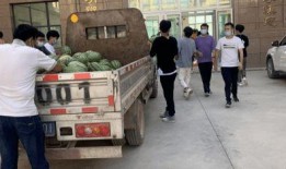 校园吃瓜大队,揭秘校园里的那些“瓜”