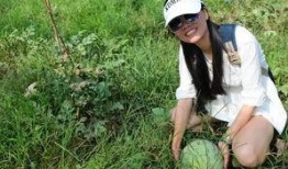 梦见在瓜地里摘瓜吃