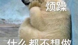 吃瓜群众解压图,趣味横生的减压神器