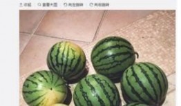 兄弟情吃瓜,揭秘娱乐圈兄弟情背后的故事