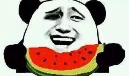 吃瓜群众畅所欲言,畅所欲言，揭秘娱乐圈风云