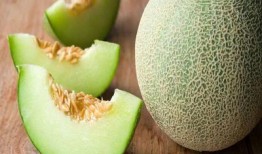 吃菌可以吃哈密瓜吗,探索菌类与哈密瓜的完美搭配