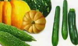 顾炎吃瓜,揭秘历史名士的闲情逸致