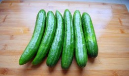 玉碎瓜好吃吗怎么吃,如何品尝这一独特佳肴