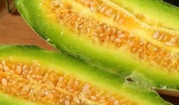 博洋蜜瓜怎么吃,尽享夏日清新美味
