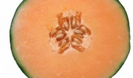 孕27周可以吃哈密瓜么,孕27周适宜食用哈密瓜