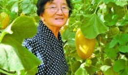 河北教授吃瓜事件