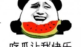 你是吃瓜群众吗,吃瓜群众视角下的娱乐圈风云